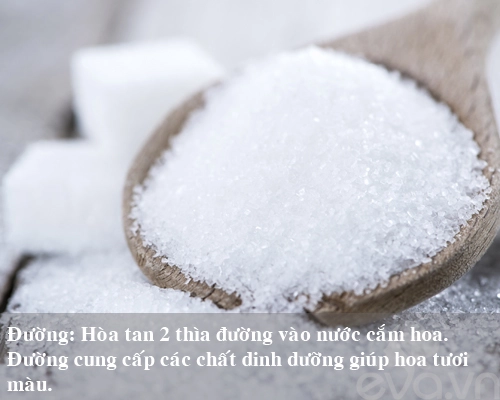 9 bí kíp giữ hoa tươi lâu mẹ nên thủ sẵn - 1