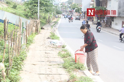 Hà nội mãn nhãn vườn rau sạch dài gần 2km trồng trong hốc xi măng - 6