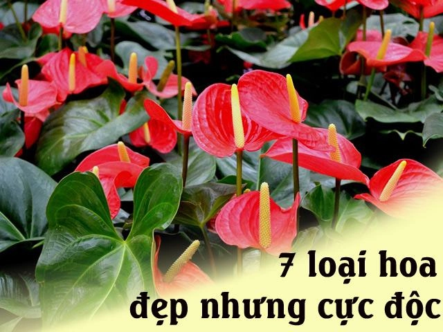 Hàng nghìn người đổ xô đi ngắm bông hoa khủng bốc mùi nhất thế giới - 3