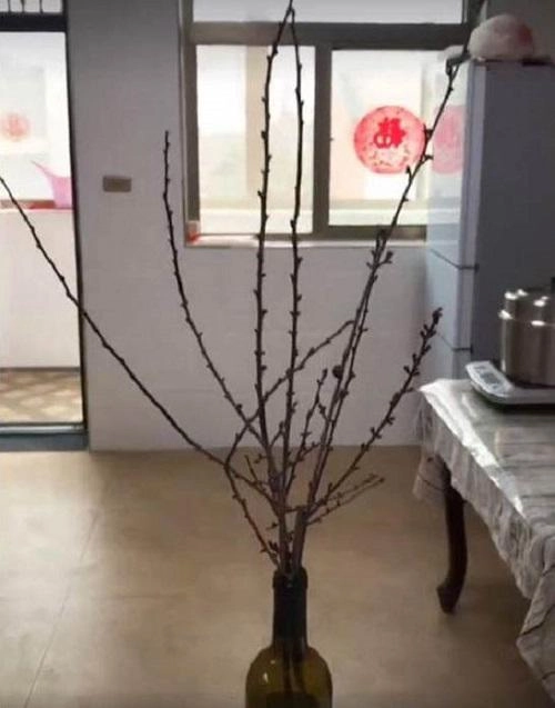 Hết tết mà nhà vẫn có cành đào bày cả năm không héo hóa ra bí mật từ cây nến - 1