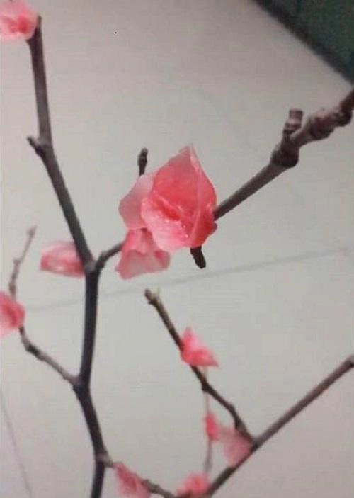 Hết tết mà nhà vẫn có cành đào bày cả năm không héo hóa ra bí mật từ cây nến - 9