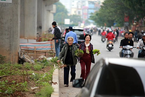 Hn vườn rau sạch dưới chân đường sắt trên cao - 15