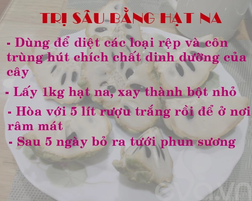 Kinh nghiệm trồng rau củ quả trong thùng xốp phần 2 - 5