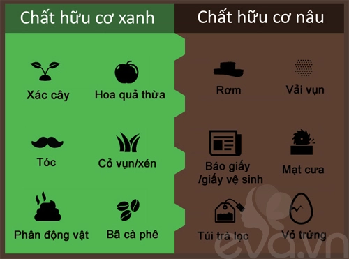 Kinh nghiệm trồng rau củ quả trong thùng xốp phần 2 - 7