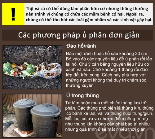 Kinh nghiệm trồng rau củ quả trong thùng xốp phần 2 - 8