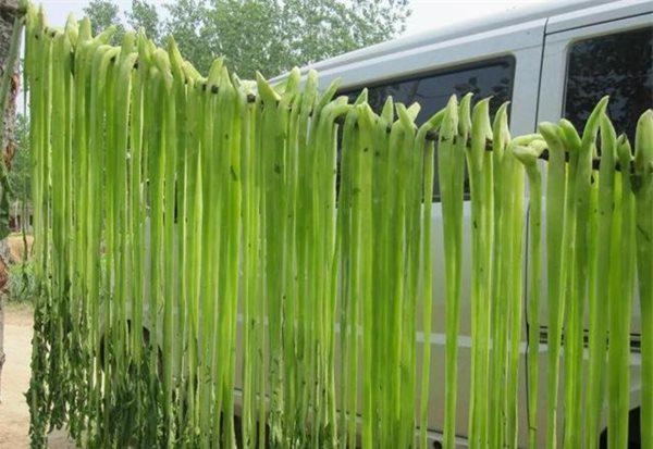 Kỳ lạ loại rau đặc sản từng để tiến vua bây giờ chỉ để cho lợn ăn - 1