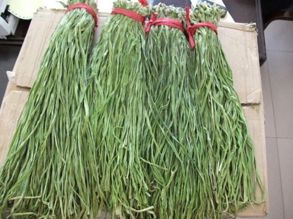 Kỳ lạ loại rau đặc sản từng để tiến vua bây giờ chỉ để cho lợn ăn - 4