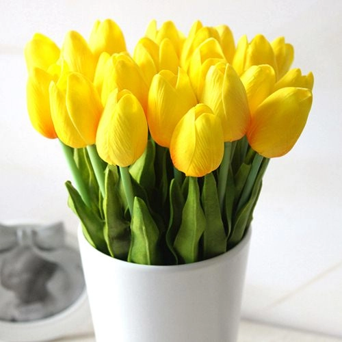 Kỹ thuật trồng hoa tulip trổ bông 100 để kịp trang trí nhà đón tết - 9