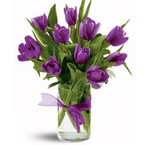 Kỹ thuật trồng hoa tulip trổ bông 100 để kịp trang trí nhà đón tết - 10