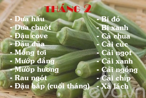 Lịch rau trồng theo 12 tháng cho chị em - 2