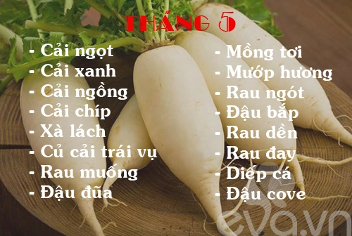 Lịch rau trồng theo 12 tháng cho chị em - 5