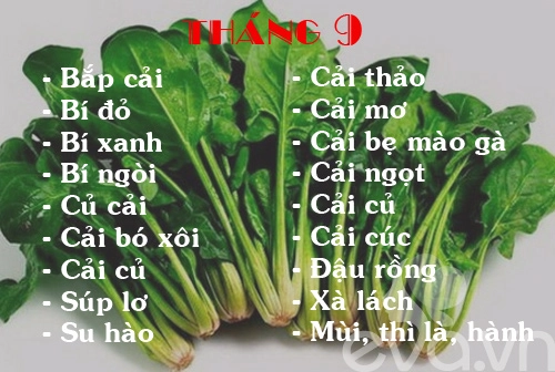 Lịch rau trồng theo 12 tháng cho chị em - 9