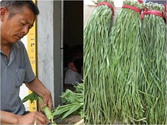 Loại rau đầy rẫy ở nông thôn nhưng vào siêu thị bán với giá hơn 400000 đồngnửa kg - 3