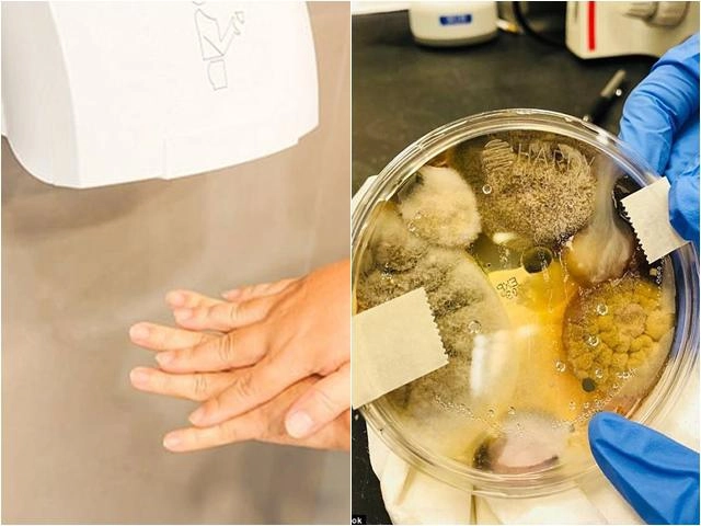 Luôn đóng nắp bồn cầu mẹo phong thủy nhà nào cũng sai sửa ngay kẻo tổn thọ - 4