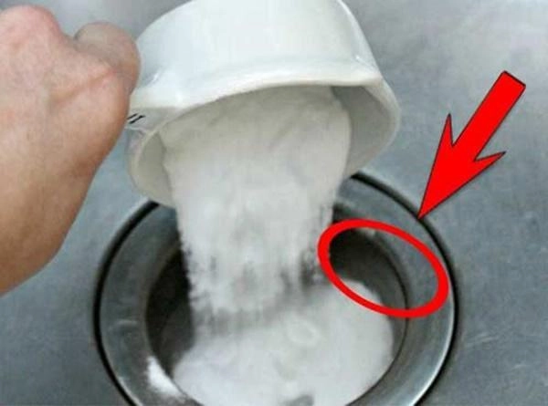 Mang cốc muối đổ vào bồn cầu 5 phút sau chồng gọi vợ vào xem điều đặc biệt - 1