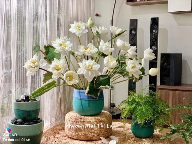 Mẹ bỉm sữa sở hữu hàng trăm bình hoa chồng tranh phần chăm con để vợ tha hồ thỏa mãn - 7