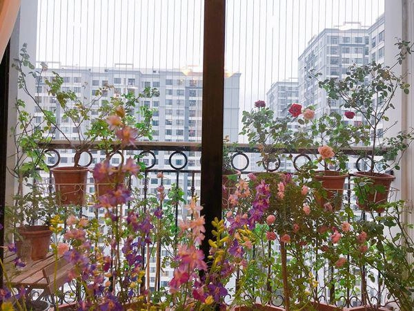 Mẹ hà nội chỉ cách cắm hoa tươi suốt 9 ngày nghỉ tết bông nào bông nấy đẹp bung lụa - 11