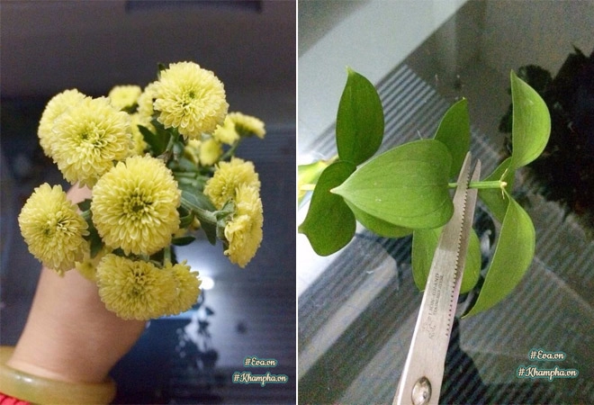 Mẹ hà nội gợi ý những cách cắm hoa mùa thu đẹp nhất khiến ngàn chị em mê mẩn - 14