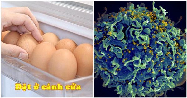 Ngày nào cũng để trứng sau cửa tủ lạnh nghe chuyên gia nói tác hại mà rụng rời - 1