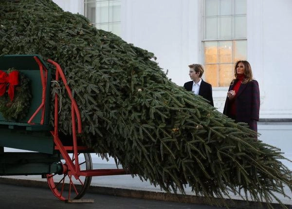 Nhà trắng lộng lẫy dịp noel dưới bàn tay trang trí của phu nhân melania trump - 2