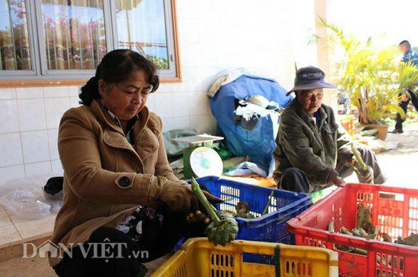 Trồng có 4000m2 loài hoa bổ từ rễ tới lá trai 9x bỏ túi 300 triệu - 2