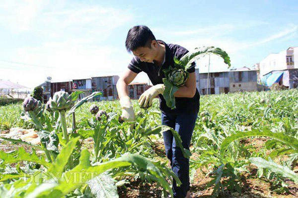 Trồng có 4000m2 loài hoa bổ từ rễ tới lá trai 9x bỏ túi 300 triệu - 4