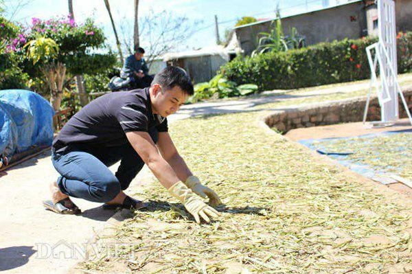 Trồng có 4000m2 loài hoa bổ từ rễ tới lá trai 9x bỏ túi 300 triệu - 5