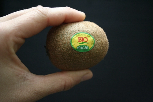 Trồng kiwi trong chậu mát nhà mà sướng miệng - 1