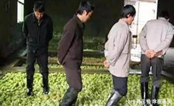 3 thứ bị người làm dẫm đạp bằng chân nhưng ai cũng đều ăn thậm chí là hằng ngày - 3