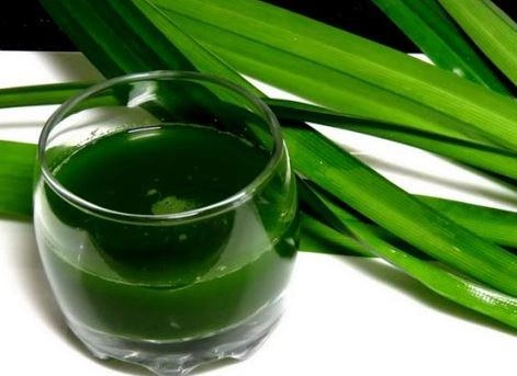 4 cách làm thạch rau câu ngon đơn giản dễ làm - 5