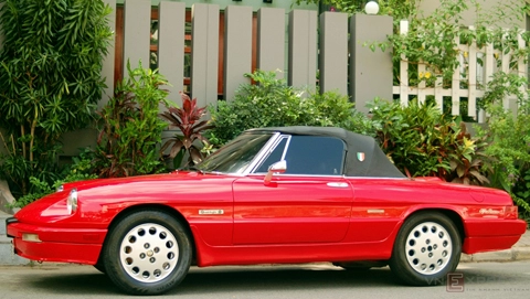  alfa romeo spider cổ giữa sài gòn - 2