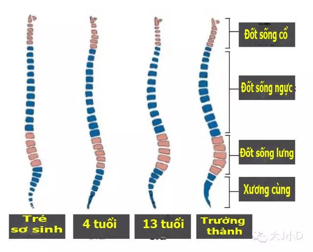 Biết được sự thật này nhiều mẹ việt sẽ không cho con sơ sinh nằm gối nữa - 2