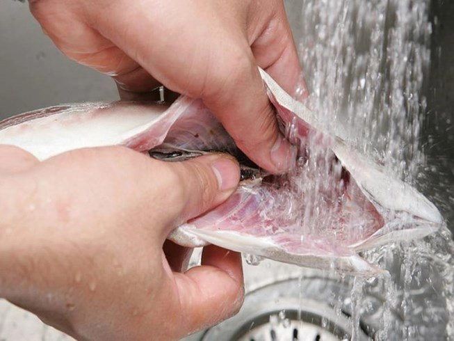 Bộ phận này của cá rất độc hại tốt nhất không ai nên ăn kẻo rước bệnh - 3