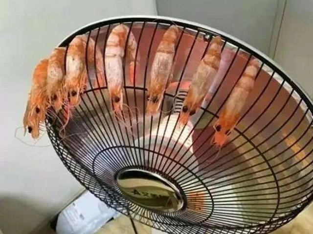 thanh niên mới lớp 8 tự tay nấu trăm mâm cơm ngon hội các chị gái đoảng mxh choáng váng - 7