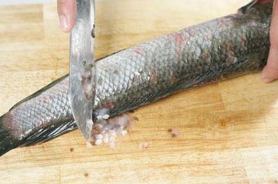 Cá lóc hấp bầu đặc sản vùng đất nam bộ ngon khó cưỡng - 2