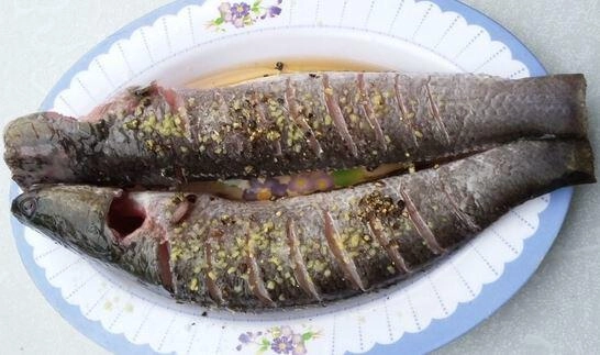 Cá lóc hấp bầu đặc sản vùng đất nam bộ ngon khó cưỡng - 3