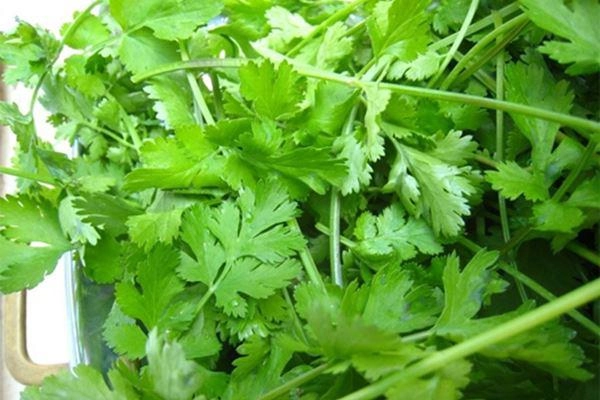Cách làm salad trộn vừa ngon vừa thanh mát giúp bạn giải nhiệt mùa hè - 4