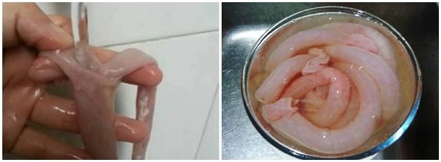 Cách làm xúc xích tại nhà thơm ngon nhất - 2