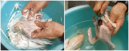 Cách nấu cháo chim bồ câu cực ngon và giàu dinh dưỡng - 2