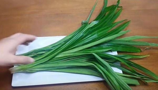Cách nấu nước nha đam ngon mát thanh nhiệt cho mùa hè - 1