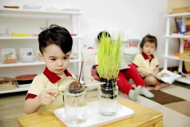 Cách sắp xếp không gian gia đình đơn giản để con học phương pháp montessori hiệu quả nhất - 2