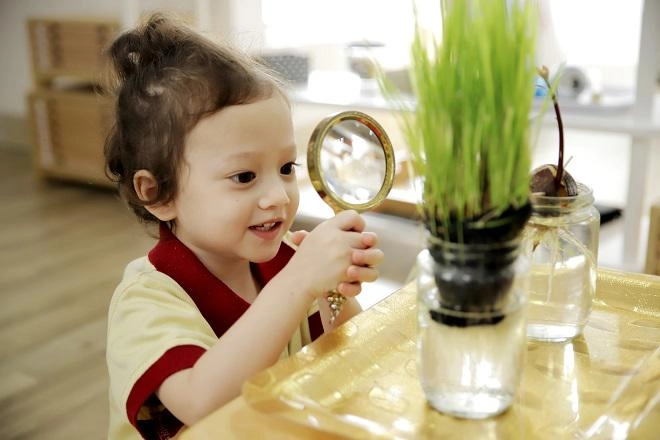 Cách sắp xếp không gian gia đình đơn giản để con học phương pháp montessori hiệu quả nhất - 3