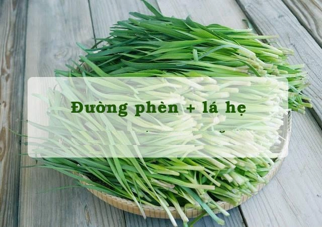 Cách trị ho cho trẻ sơ sinh không cần dùng thuốc - 1