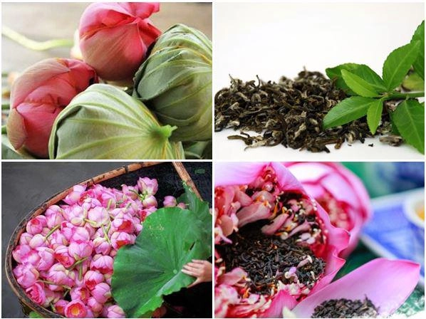 Cách ướp trà sen tươi truyền thống chuẩn vị thanh mát - 1