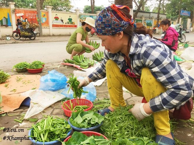 Cặp vợ chồng ngày ngày tước rau bí tháng bỏ túi 60 triệu và câu chuyện bất ngờ phía sau - 1