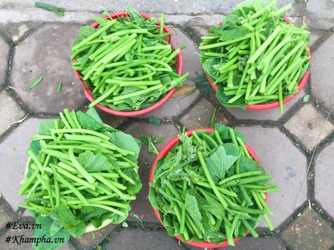 Cặp vợ chồng ngày ngày tước rau bí tháng bỏ túi 60 triệu và câu chuyện bất ngờ phía sau - 3