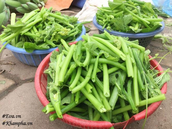 Cặp vợ chồng ngày ngày tước rau bí tháng bỏ túi 60 triệu và câu chuyện bất ngờ phía sau - 4