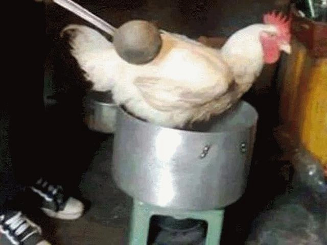 Chàng trai thử gói bánh chưng xem bố mẹ có trầm trồ không và cái kết khó ngờ - 7