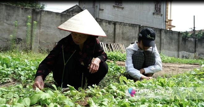 Chuyện của thương - đứa trẻ được bảo mẫu nuôi 15 năm không mong tìm lại được bố mẹ - 5