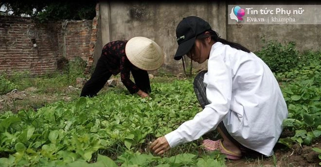 Chuyện của thương - đứa trẻ được bảo mẫu nuôi 15 năm không mong tìm lại được bố mẹ - 6